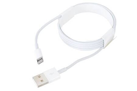 Câble téléphone portable Apple CABLE LIGHTNING VERS USB 0.5M - LIGHTNING